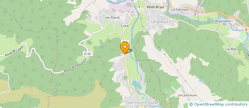 localisation de l'entreprise CARRE BLEU INFORMATIQUE  SAIL-SOUS-COUZAN