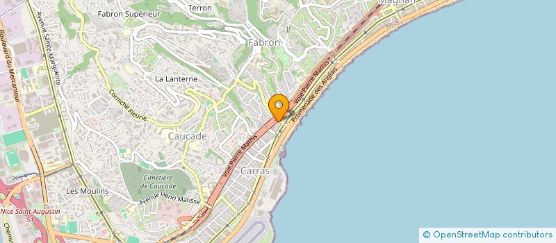 localisation de l'entreprise CARRE D'OR CHAUFFEUR à NICE