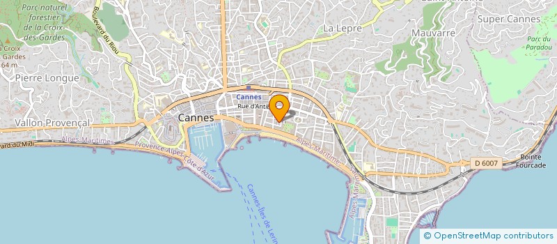 localisation de l'entreprise CARRE VIP CANNES à CANNES