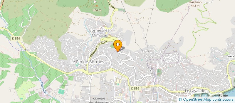 localisation de l'entreprise CARREFOUR DE L'ARBRE à BORMES-LES-MIMOSAS