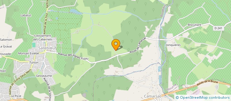 localisation de l'entreprise CARRERA III  SALLEBUF