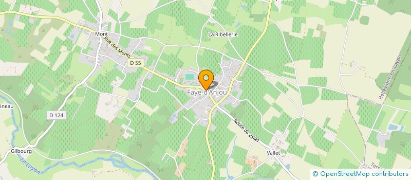 localisation de l'entreprise CARSIN CONSEIL à BELLEVIGNE-EN-LAYON