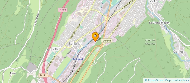 localisation de l'entreprise CARTONNAGES GREGIS S A à BELLIGNAT