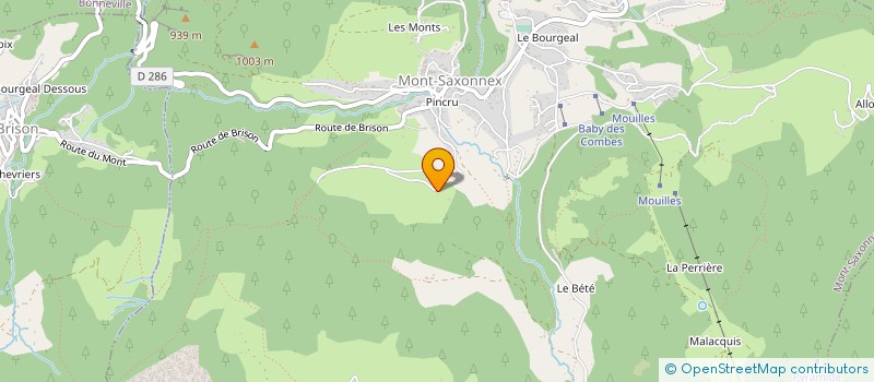 localisation de l'entreprise CARTONNAGES PRAPACK à VOUGY