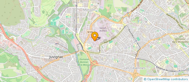 localisation de l'entreprise CAS DE RUNASQUER à MONTPELLIER