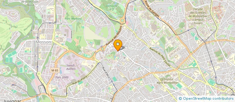 localisation de l'entreprise CASA BRASILIERA à MONTPELLIER