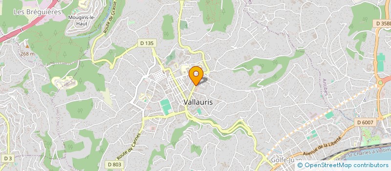 localisation de l'entreprise CASE à VALLAURIS
