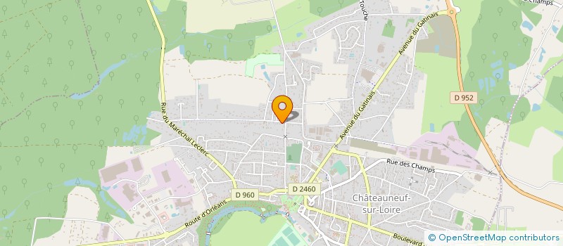 localisation de l'entreprise CASTEL-ECO à CHATEAUNEUF-SUR-LOIRE