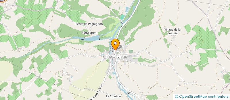 localisation de l'entreprise CASTEL VIE ET JOIE  CHATEAUVIEUX