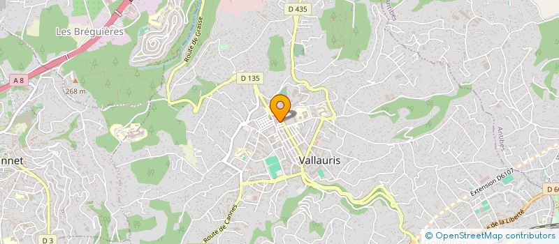 localisation de l'entreprise CASTELET CTIM  VALLAURIS