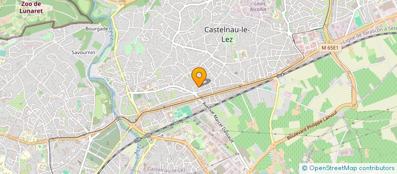 localisation de l'entreprise CASTELNAU MICRO à CASTELNAU-LE-LEZ