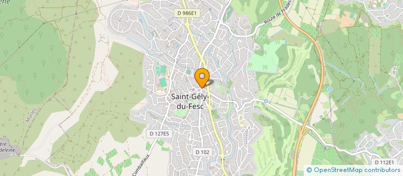 localisation de l'entreprise CASTRO à SAINT-GELY-DU-FESC