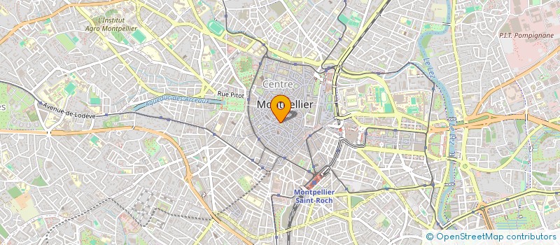 localisation de l'entreprise CAT STYLE à MONTPELLIER