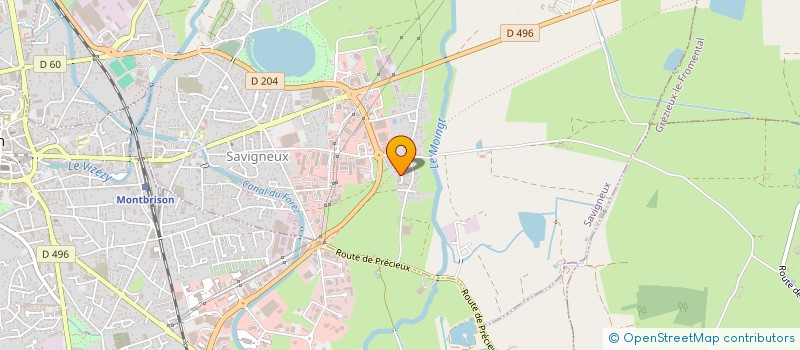 localisation de l'entreprise CATFISH  MONTBRISON