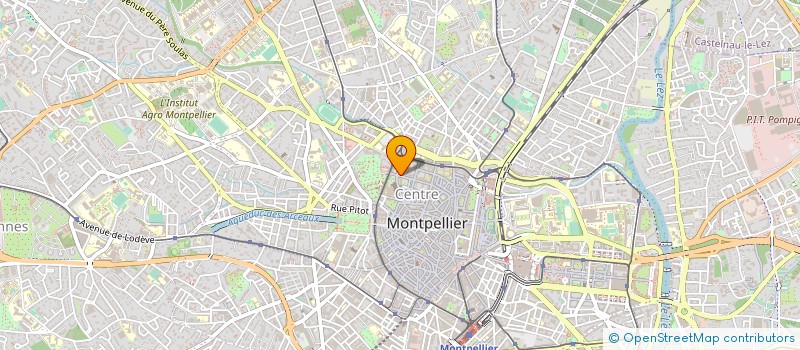 localisation de l'entreprise CATHEDRALE DE MONTPELLIER à MONTPELLIER