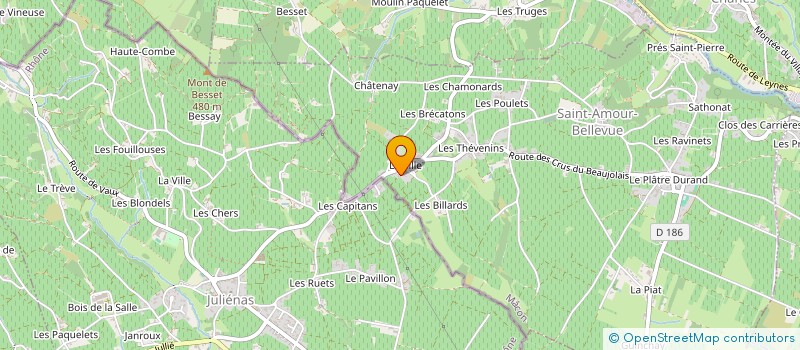 localisation de l'entreprise CBJ IMMOBILIER  SAINT-AMOUR-BELLEVUE