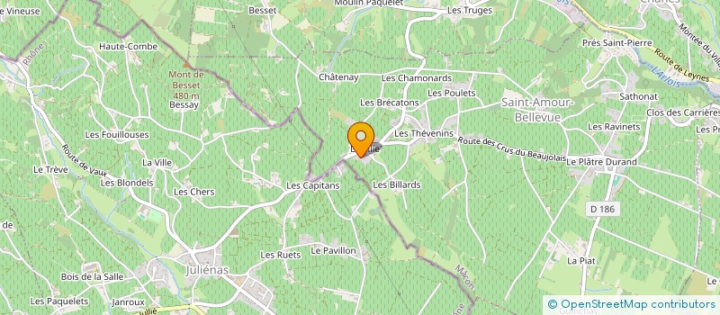 localisation de l'entreprise CBJS IMMOBILIER  SAINT-AMOUR-BELLEVUE