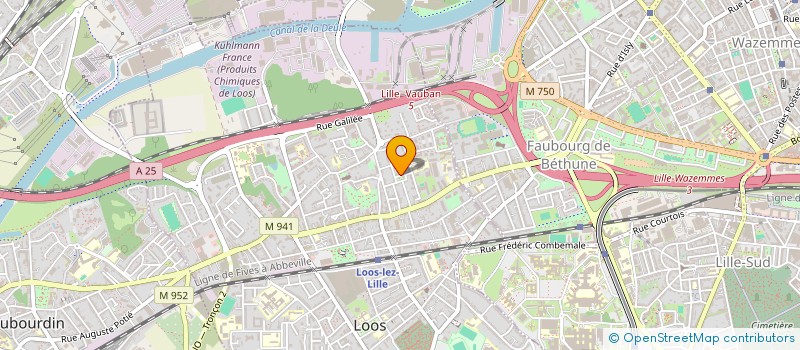 localisation de l'entreprise CBS CROSS-BORDER CONSULTANTS  LOOS