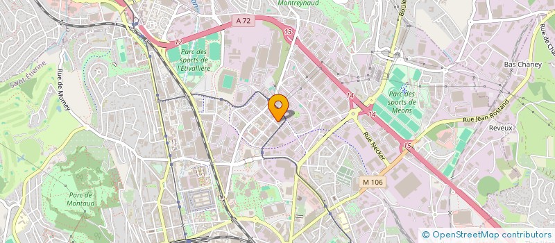 localisation de l'entreprise CD AND LP MUSIC WEB SERVICE  SAINT-ETIENNE
