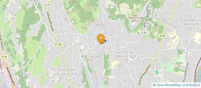 localisation de l'entreprise CD IMMO  SAINT-DIDIER-AU-MONT-D'OR