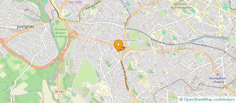 localisation de l'entreprise CDF SPECTACLES à MONTPELLIER