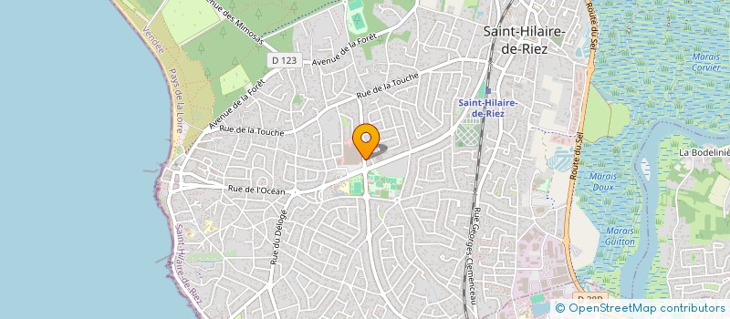 localisation de l'entreprise CDF2M à SAINT-HILAIRE-DE-RIEZ
