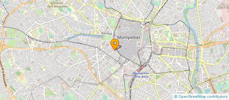 localisation de l'entreprise CDX, REX CLUB à MONTPELLIER