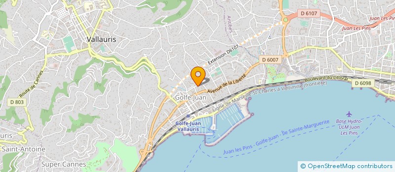 localisation de l'entreprise CED LUXURY SERVICES  VALLAURIS