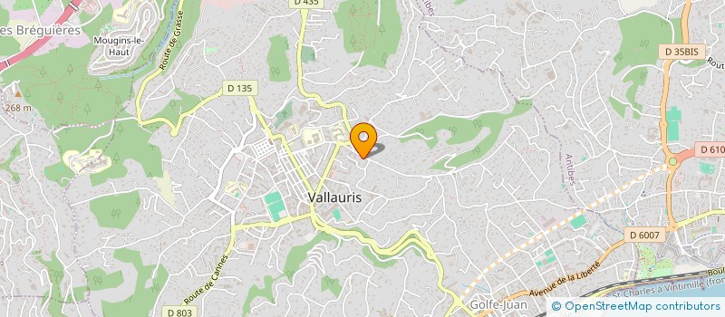 localisation de l'entreprise CEDRINVEST à VALLAURIS