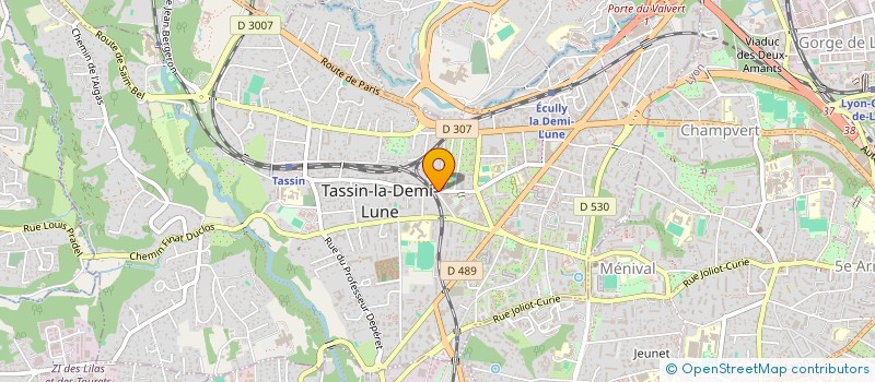 localisation de l'entreprise CELEMA  TASSIN-LA-DEMI-LUNE