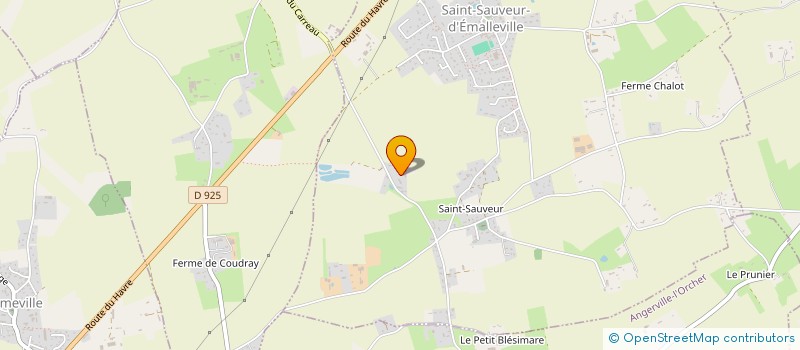localisation de l'entreprise CELIFRAN 25  SAINT-SAUVEUR-D'EMALLEVILLE