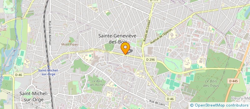 localisation de l'entreprise CELIK TAXI à SAINTE-GENEVIEVE-DES-BOIS