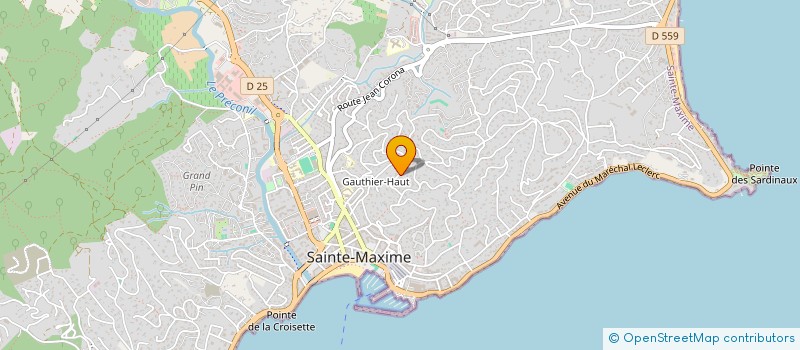 localisation de l'entreprise CELSIUS à SAINTE-MAXIME