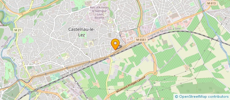 localisation de l'entreprise CELTIC EVOLUTION MONTPELLIER à CASTELNAU-LE-LEZ