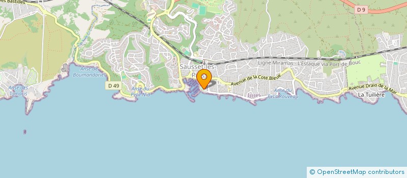 localisation de l'entreprise CELYA  SAUSSET-LES-PINS