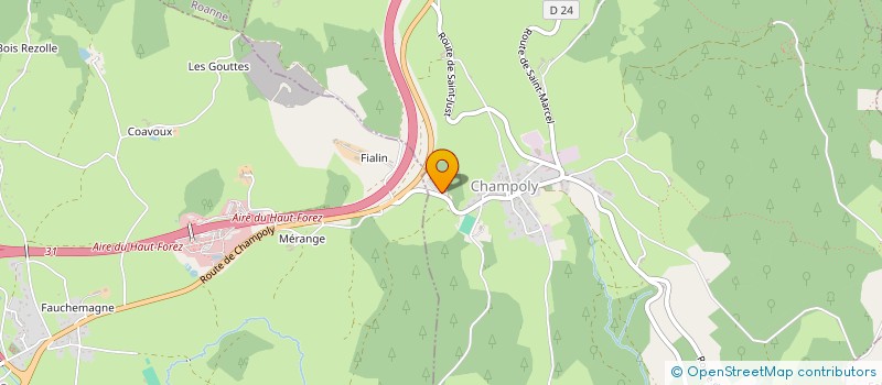 localisation de l'entreprise CELYSS  CHAMPOLY