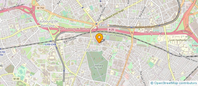 localisation de l'entreprise CENT POUR CENT EXPRESS à LILLE