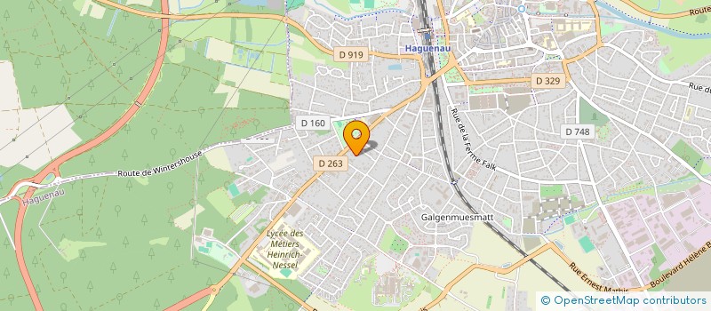 localisation de l'entreprise CENTRE AUTO CONTROL HAGUENAU  HAGUENAU