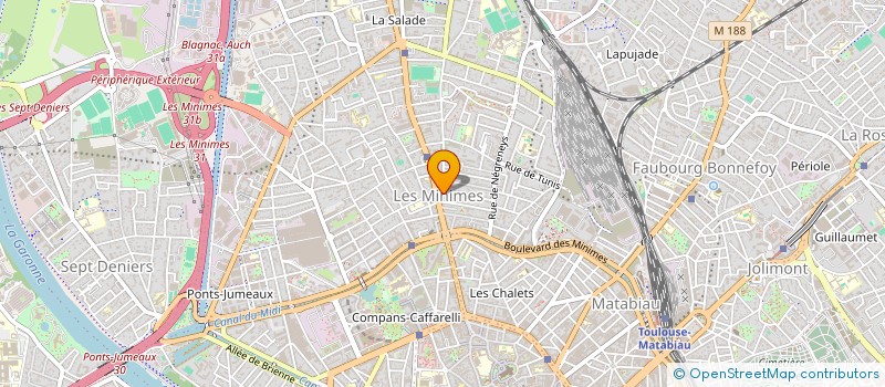 localisation de l'entreprise CENTRE D'ANIMATION POUR LA FAMILLE L'ENFANCE ET LA JEUNESSE CAFEJ 31 à TOULOUSE