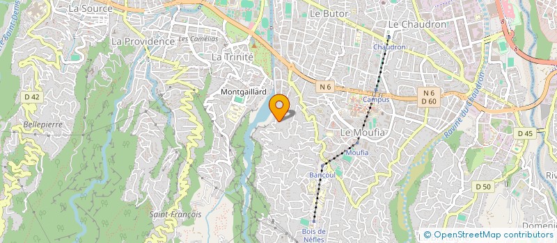 localisation de l'entreprise CENTRE D'ENERGIE DE LUXOPUNCTURE ET D'AMMINCISSEMENT  SAINT-DENIS