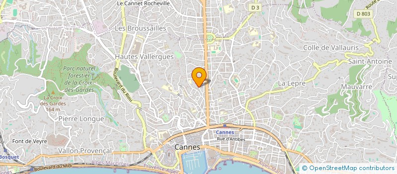localisation de l'entreprise CENTRE DE DIFFUSION INTERNATIONAL à CANNES