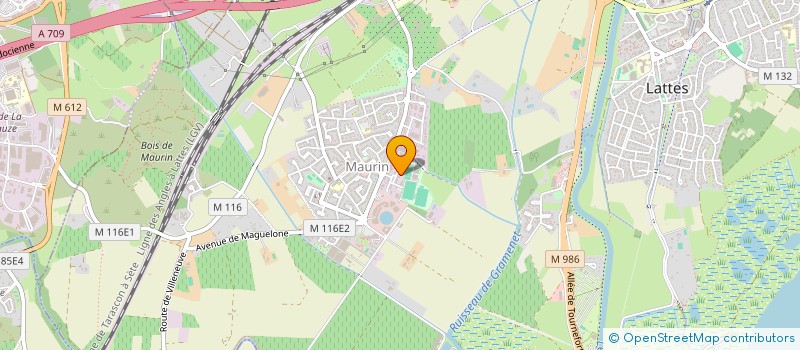 localisation de l'entreprise CENTRE DE FORMATION DE GYMNASTIQUE MASCULINE à LATTES