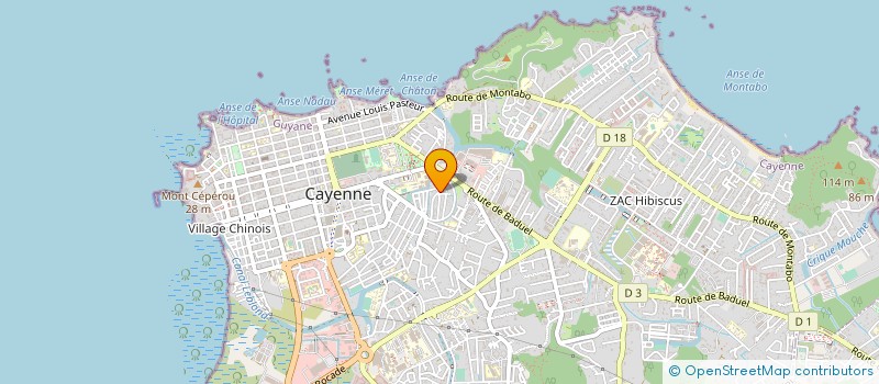 localisation de l'entreprise CENTRE DE FORMATION ET D'ORIENTATION PROFESSIONNELLE DE GUYANE à CAYENNE