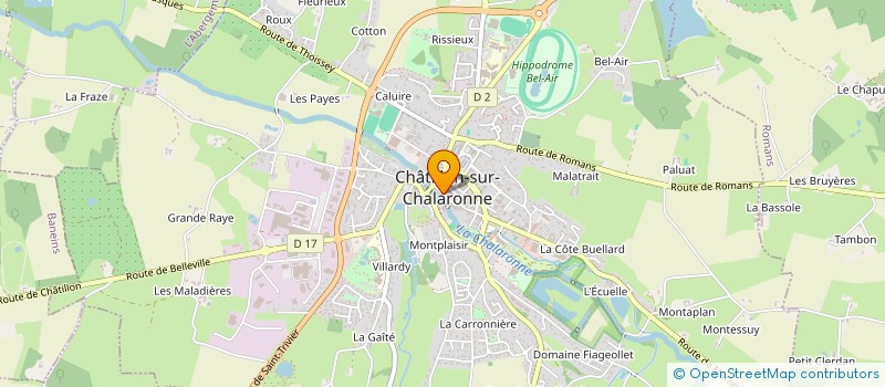 localisation de l'entreprise CENTRE DE SOINS INFIRMIERS CHATILLONNAIS VINCENT DE PAUL à CHATILLON-SUR-CHALARONNE