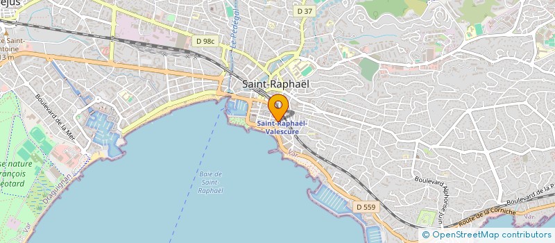 localisation de l'entreprise CENTRE DE SOINS MONTEIL-LCN à SAINT-RAPHAEL