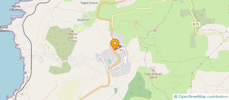 localisation de l'entreprise CENTRE EQUESTRE A CAVALLU à CALVI