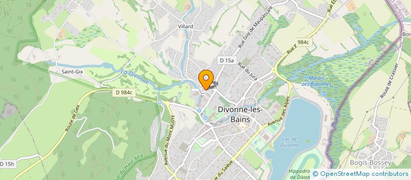 localisation de l'entreprise CENTRE EQUESTRE DE DIVONNE LES BAINS à DIVONNE-LES-BAINS