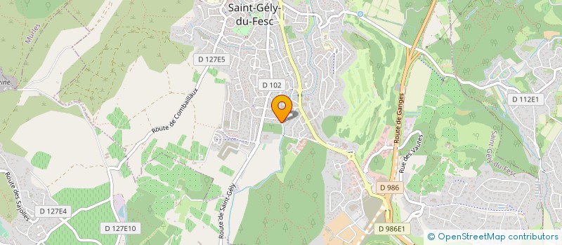 localisation de l'entreprise CENTRE EQUESTRE DES VERRIES  SAINT-GELY-DU-FESC