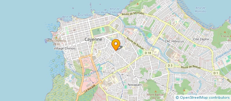 localisation de l'entreprise CENTRE GUYANAIS POUR L'ALPHABETISATION ET LA CULTURE  CAYENNE