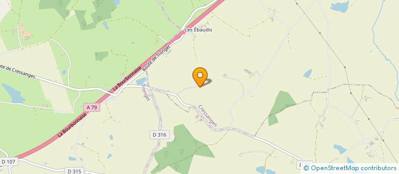 localisation de l'entreprise CENTRE HOSPITALIER DPT COEUR DU BOURBONNAIS  TRONGET